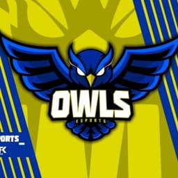 Owls eSports